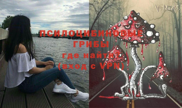 шишки Видное