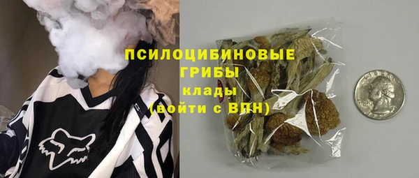 тгк Арсеньев
