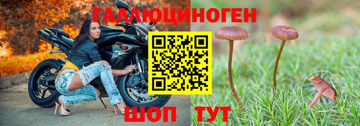 Десногорск  Галлюциногенные грибы мицелий  что такое наркотик  Галлюциногенные грибы MAGIC MUSHROOMS  Вход с VPN 